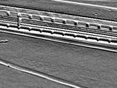 Film 3 Biogasanlage