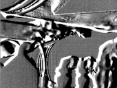 Film 11 Biogasanlage
