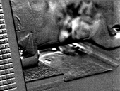 Film 15 Biogasanlage