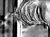 Film 16 Biogasanlage